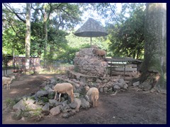 Parque Zoologico Nacional 10